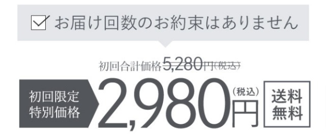 ビジョンファンデーションクッション