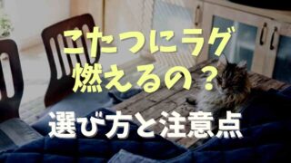 こたつにラグは燃える？選び方と注意点