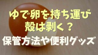 ゆで卵を持ち運びは殻を剥く剥かない？保管方法や便利グッズも