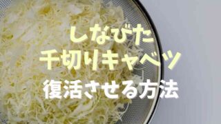 しなびた千切りキャベツを復活させる方法