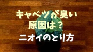 キャベツがドブ臭い原因はなぜ？においのとり方を紹介