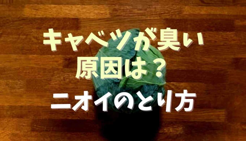 キャベツがドブ臭い原因は？ニオイのとり方を調査