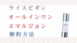 ライスビギンオールインワンエマルジョンの解約方法は？注意点と返金保証について