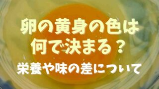 卵の黄身の色はなにで決まる？味や栄養の差について調査
