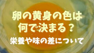 卵の黄身の色は何で決まる？味や栄養に差があるか調査