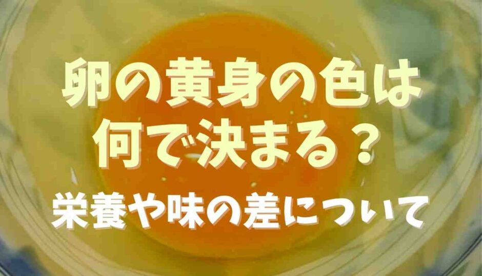 卵の黄身の色はなにで決まる？味や栄養の差について調査