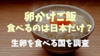 卵かけご飯を食べるのは日本だけ？