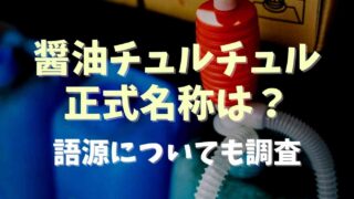 醤油ちゅるちゅるの正式名称は？語源も調査