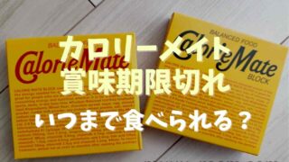 カロリーメイトの賞味期限切れは1年過ぎてても食べられる？保存方法についても