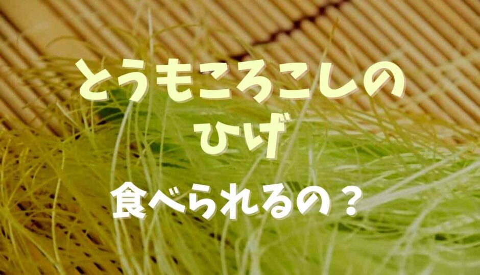 とうもろこしのひげは食べられる？注意点も