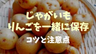 ジャガイモとりんごを一緒に保存するとどうなる？保存のコツを調査