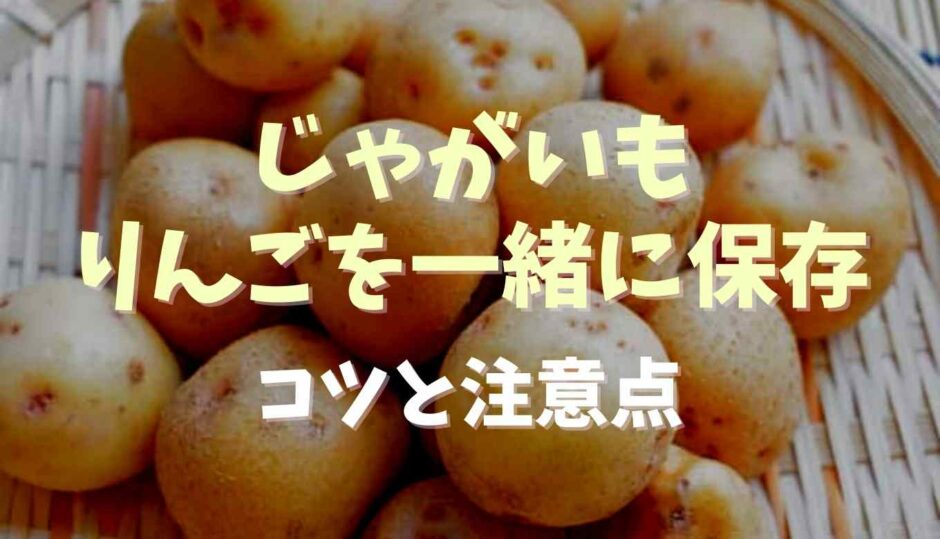 ジャガイモとりんごを一緒に保存するとどうなる？保存のコツを調査