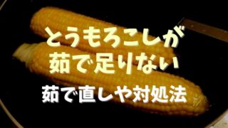 とうもろこしが茹で足りないときは茹で直しできる？対処法を紹介