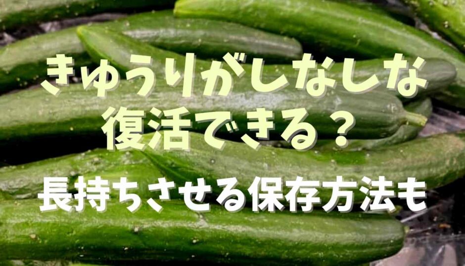 きゅうりがしなしなは復活できる？長持ちさせる保存方法も