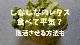 しなしなのレタスは食べて平気？