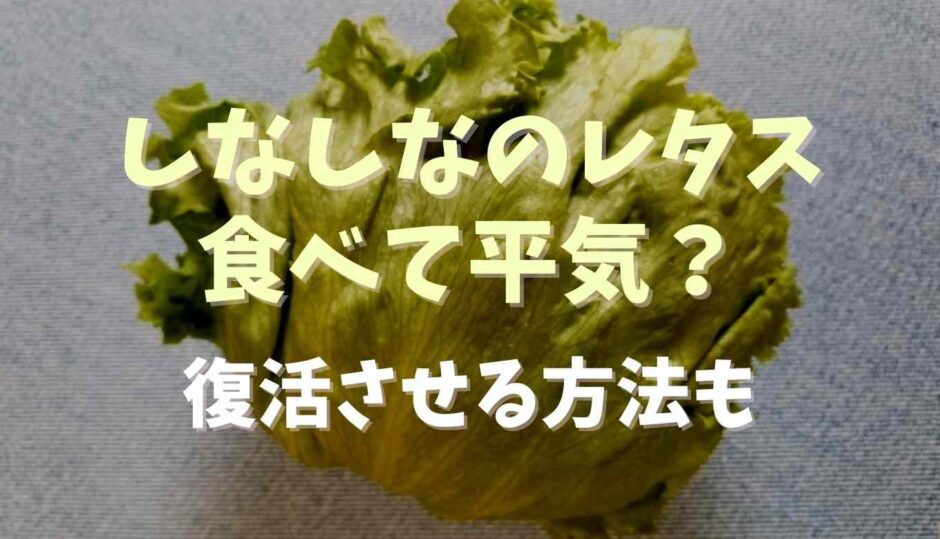 しなしなのレタスは食べて平気？