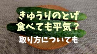 きゅうりのトゲは食べても平気？取り方も紹介！