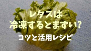 レタスは冷凍するとまずい？冷凍するときのコツと活用レシピも紹介