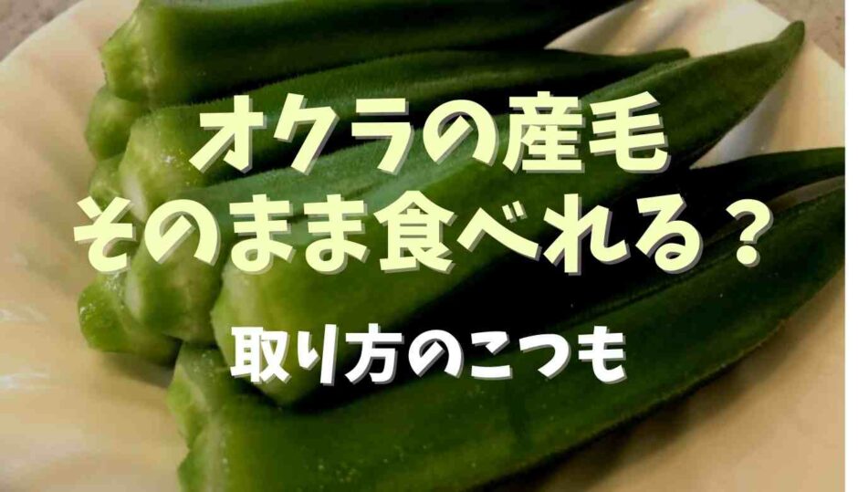 オクラの産毛そのまま食べられる？取り方のコツも