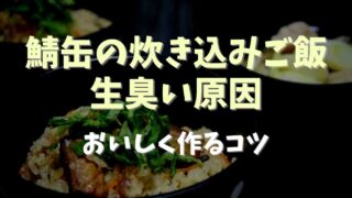 鯖缶入りの炊き込みご飯が生臭い原因は？作り方のコツ！