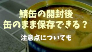 鯖缶の開封後は缶のまま保存できる？