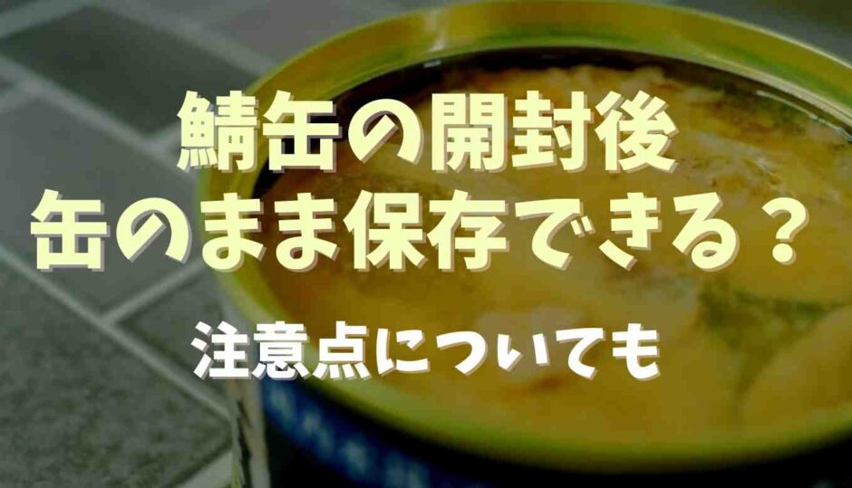 鯖缶の開封後は缶のまま保存できる？