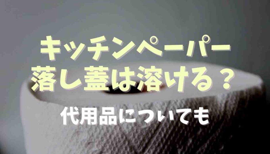 キッチンペーパーで落とし蓋は溶ける？代用品も