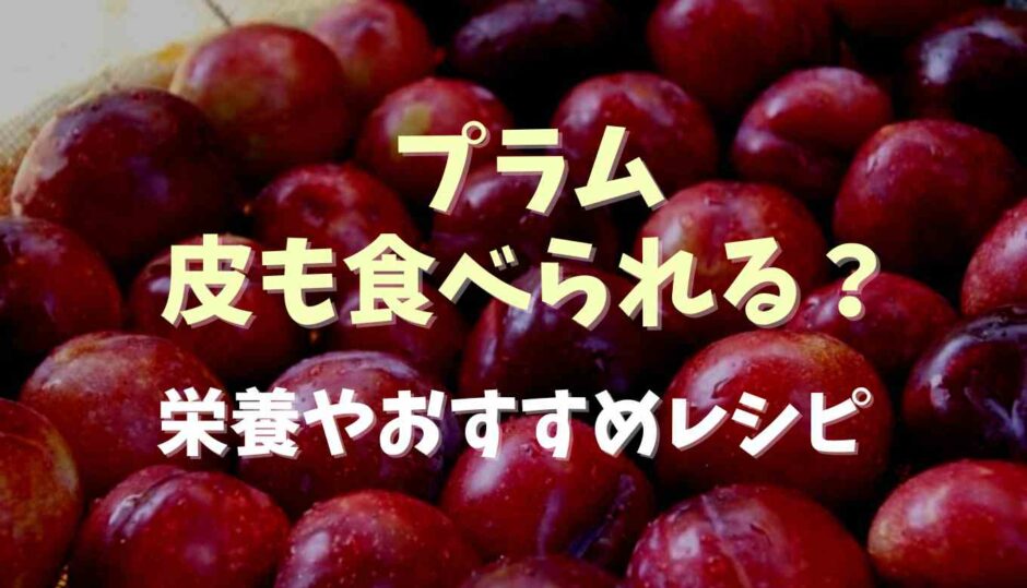 プラムは皮も食べられる？栄養やおすすめレシピ