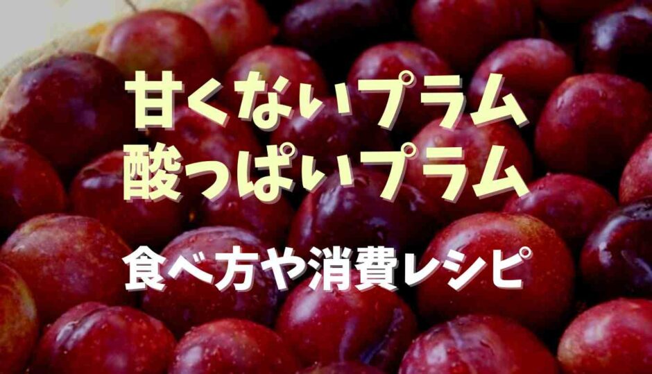 甘くないプラム酸っぱいプラムの食べ方や消費レシピ