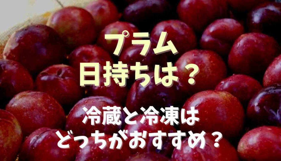 プラムの日持ちは？冷凍と冷蔵はどちらがおすすめ？