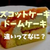 ズコットとドームケーキの違いは？発祥や名前の由来についても