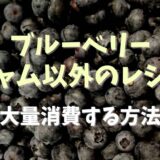 ブルーベリージャム以外のレシピは？大量消費する方法