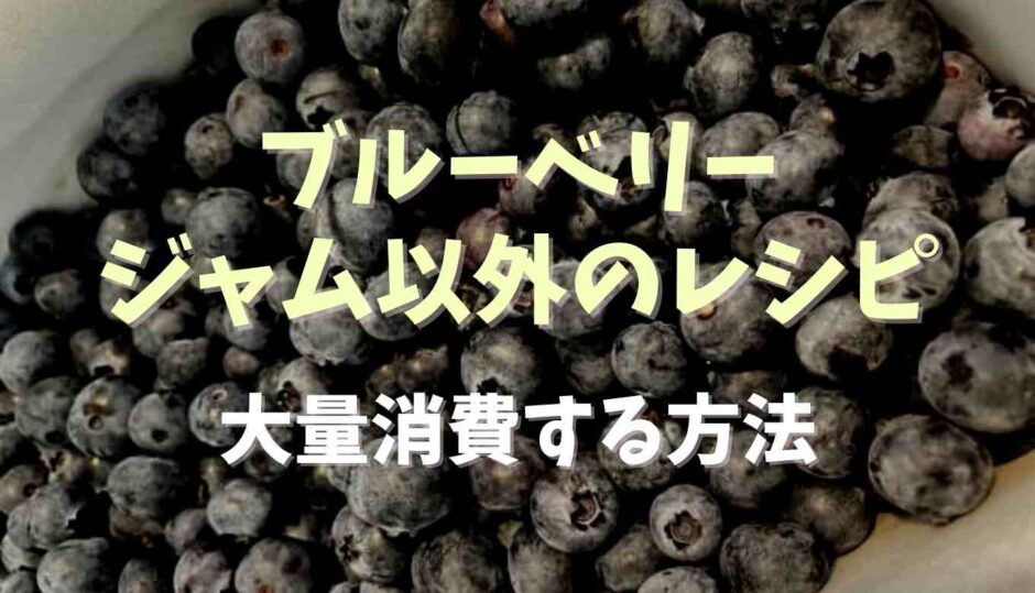 ブルーベリージャム以外のレシピは？大量消費する方法