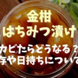 金柑のはちみつ漬けにカビが生えたらどんな状態？保存方法や日持ちについても