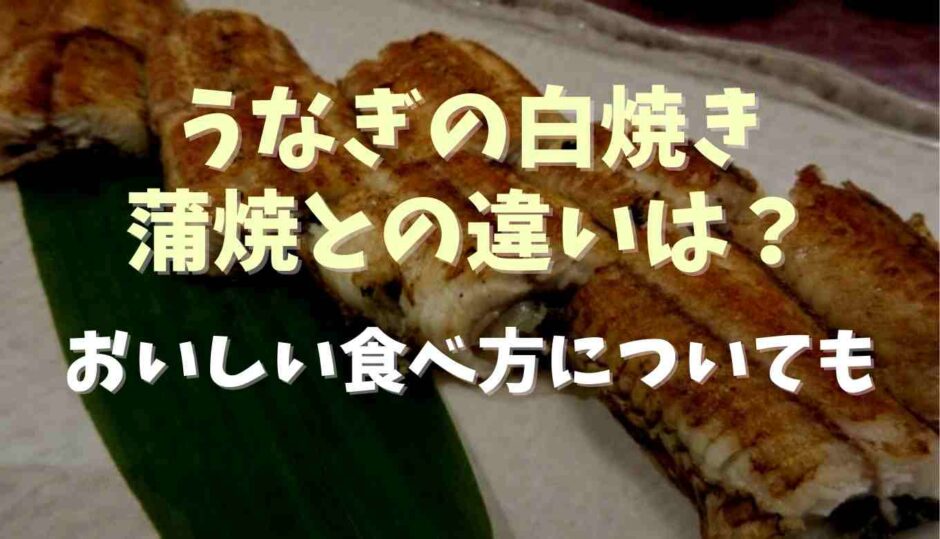 うなぎの白焼蒲焼との違いは？おいしい食べ方についても