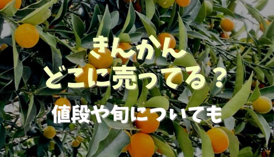 きんかんはどこに売ってる？値段や旬についても