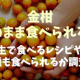 金柑そのまま食べられる？生で食べるレシピや種も食べられるか調査