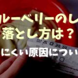 ブルーベリーのしみの落とし方は？落ちにくい原因についても