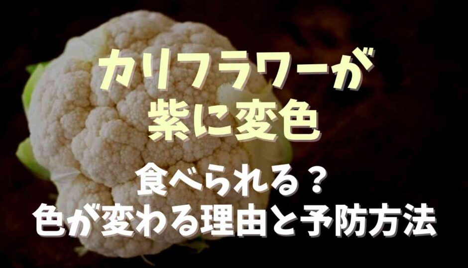 カリフラワーが紫に変色したのは食べられる？色が変わる理由と予防方法