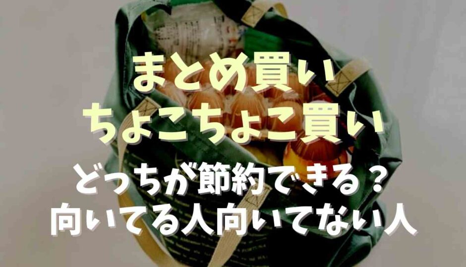 まとめ買いとちょこちょこ買いはどっちが節約できる？向いてる人と向いてない人