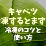 キャベツを冷凍するとまずい理由！冷凍のコツと使い切りレシピを紹介