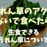 ほうれん草のアク抜きしないで食べらたらどうなる？生食できるほうれん草についても