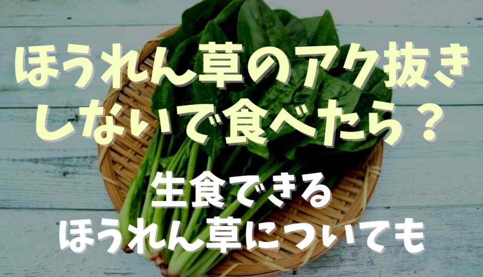 ほうれん草のアク抜きしないで食べらたらどうなる？生食できるほうれん草についても