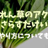 ほうれん草のアク抜きは水にさらすだけでいい？やり方についても