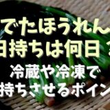 茹でたほうれん草の日持ちは何日くらい？冷蔵や冷凍で長持ちさせる保存のポイント