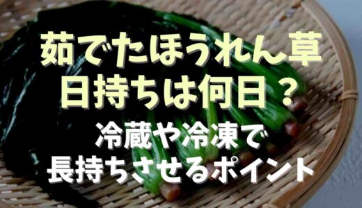 茹でたほうれん草日持ちは何日？冷蔵や冷凍で長持ちさせるポイント