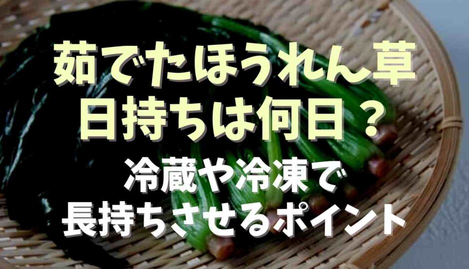 茹でたほうれん草日持ちは何日？冷蔵や冷凍で長持ちさせるポイント