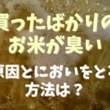 買ったばかりのお米が臭い！原因と匂いをとる方法は？