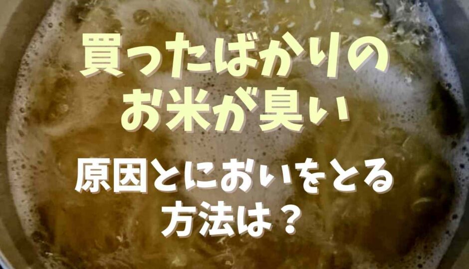 買ったばかりのお米が臭い！原因と匂いをとる方法は？