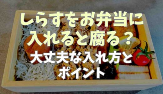 しらすをお弁当に入れると腐る？大丈夫な入れ方とポイント